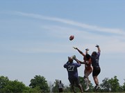 OTFL Gallery Image